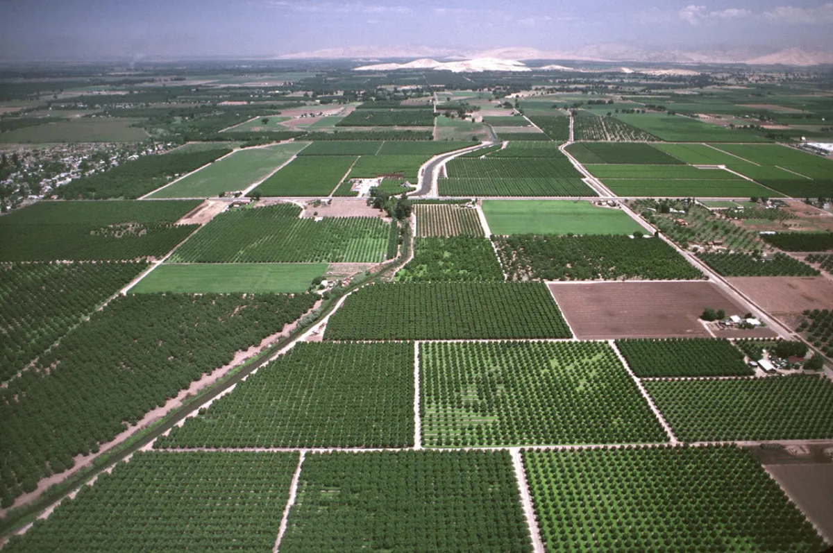 San Joaquin Valley