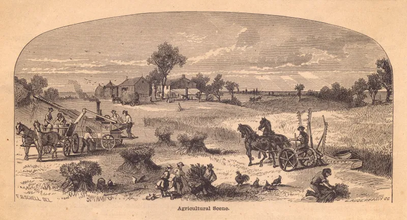 California Declared All-Out War on Jackrabbits in the 1800s — The Rabbits Won Every Single Time