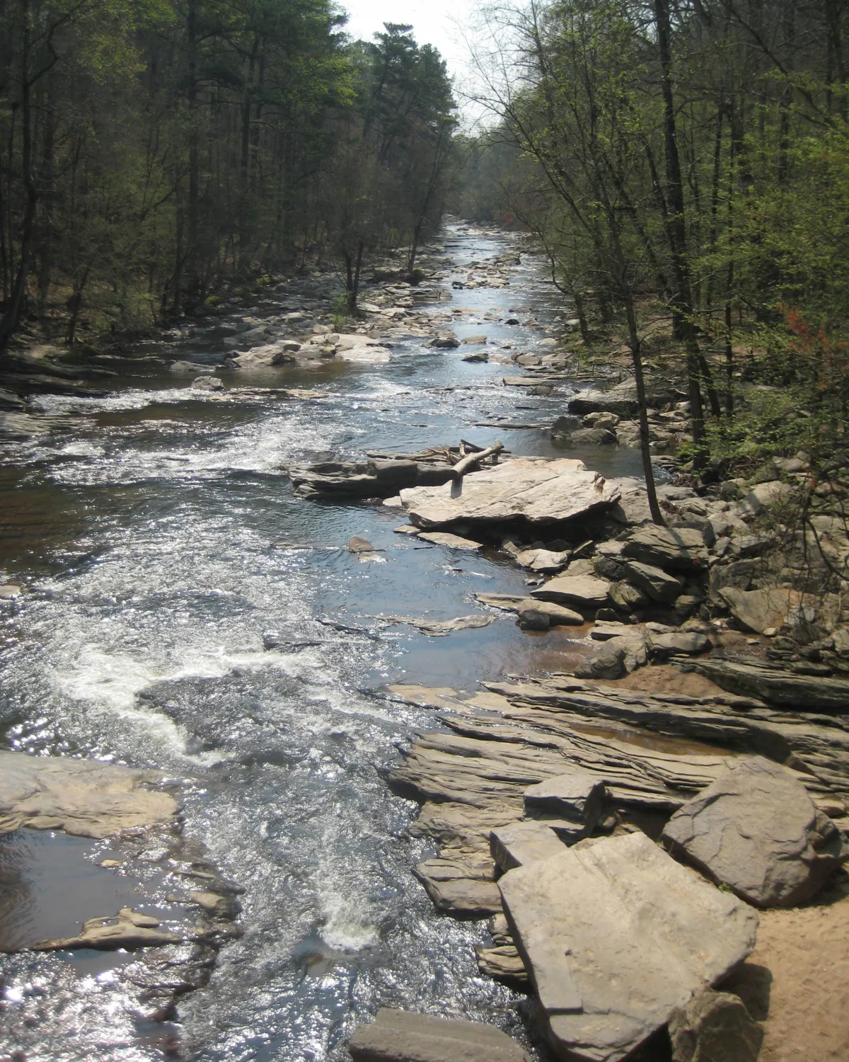 Chattahoochee River